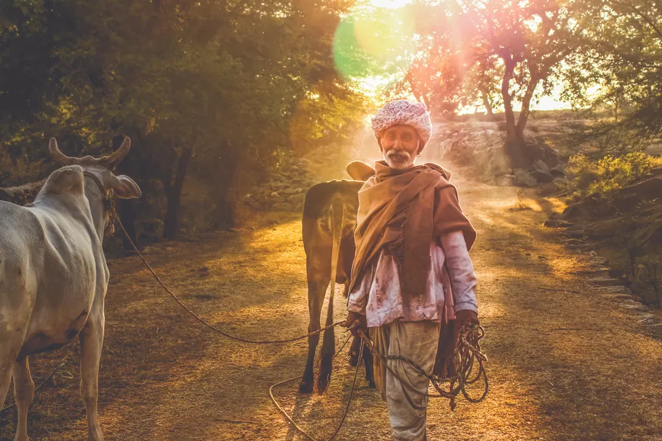 Photo of Devgarh, Rajasthan, India by Rishi Raj Singh