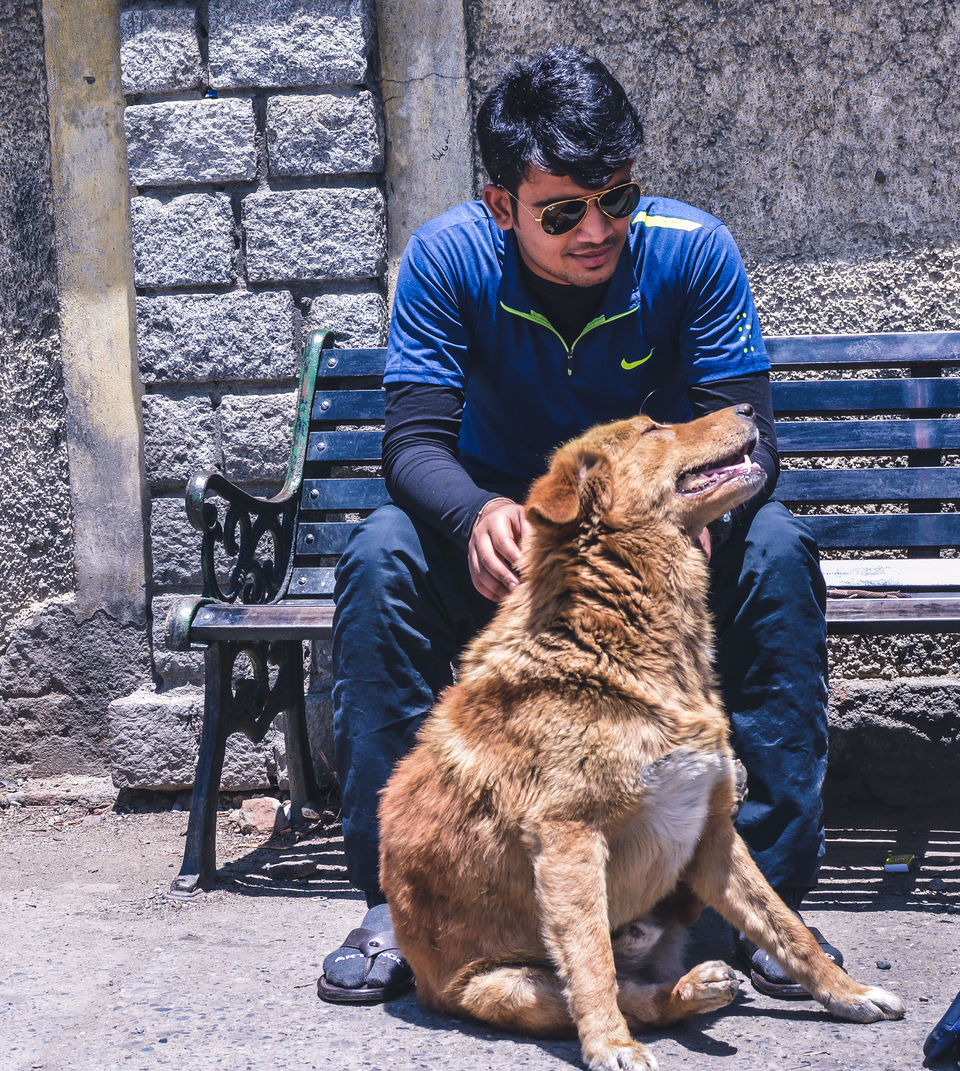 Photo of How I travelled to Spiti Valley with 8 friends in less than Rs 8000 (With Pictures and Video) 14/72 by Rishi Raj Singh