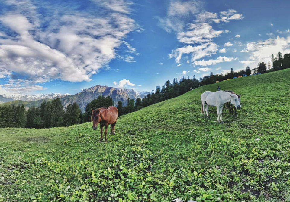Photo of Bhrigu Lake Trek - 4 day trek full of beautiful meadows near Manali 4/9 by Rishi Raj Singh