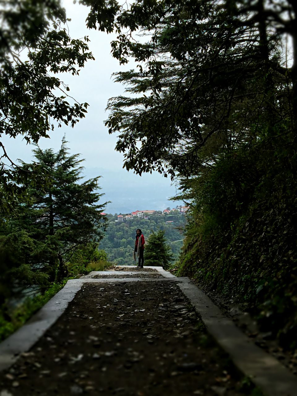 Photo of "Mussoorie-The Queen of Hills" 1/4 by pshrutika