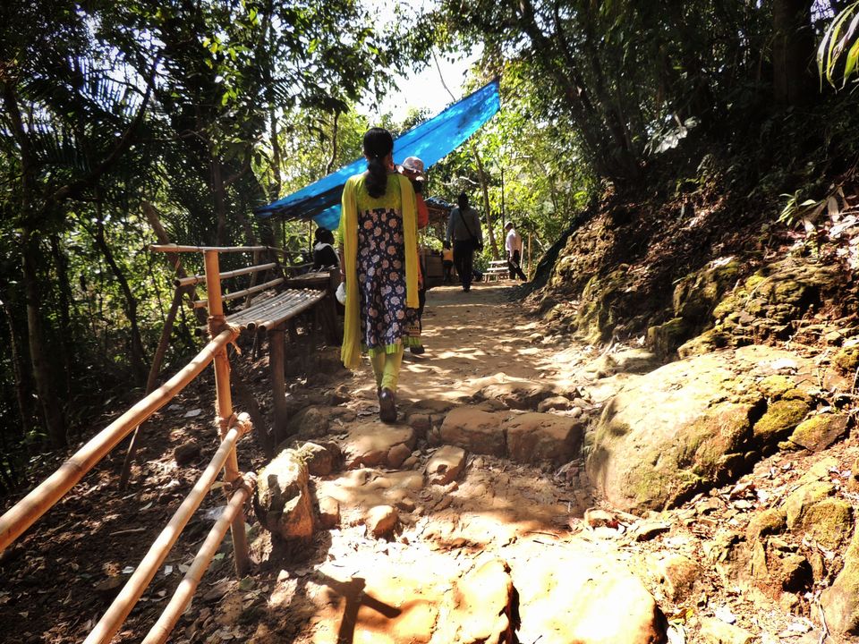 Photo of The Living Root Bridge~It is a sight to capture in your memories! by pshrutika