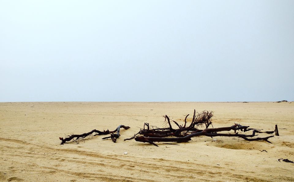Photo of Dhanushkodi 1/1 by robinski