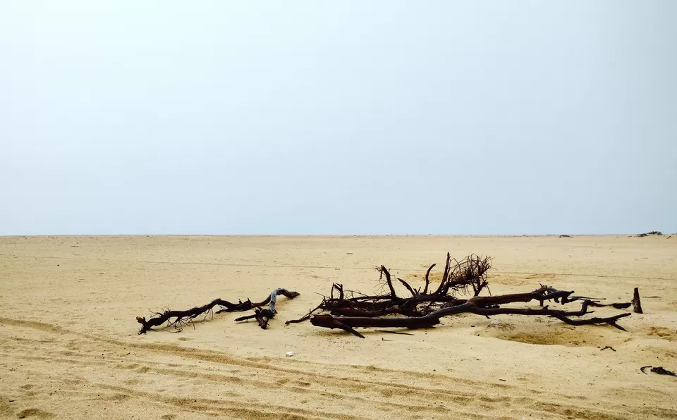 Photo of Dhanushkodi, Dhanushkodi, Tamil Nadu, India by robinski