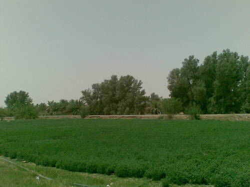 Photo of Al Ain - United Arab Emirates by Debamita Chakraborty