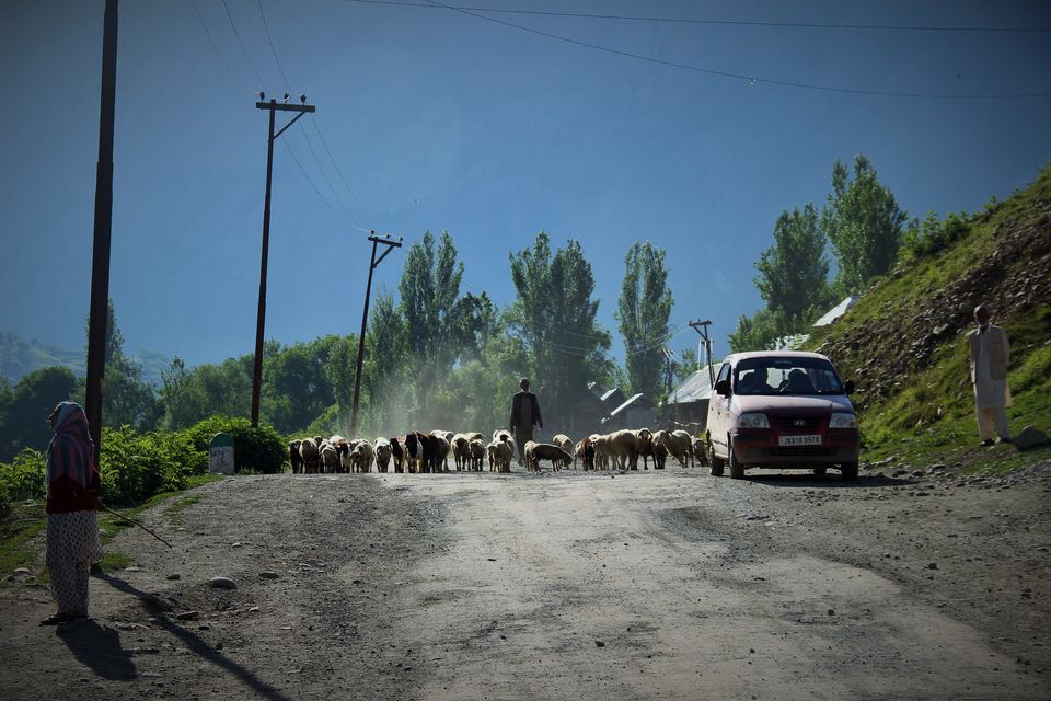 Photo of Traveler’s memoir of an unlikely tourist destination: Gurez Valley by Nupur Kedia