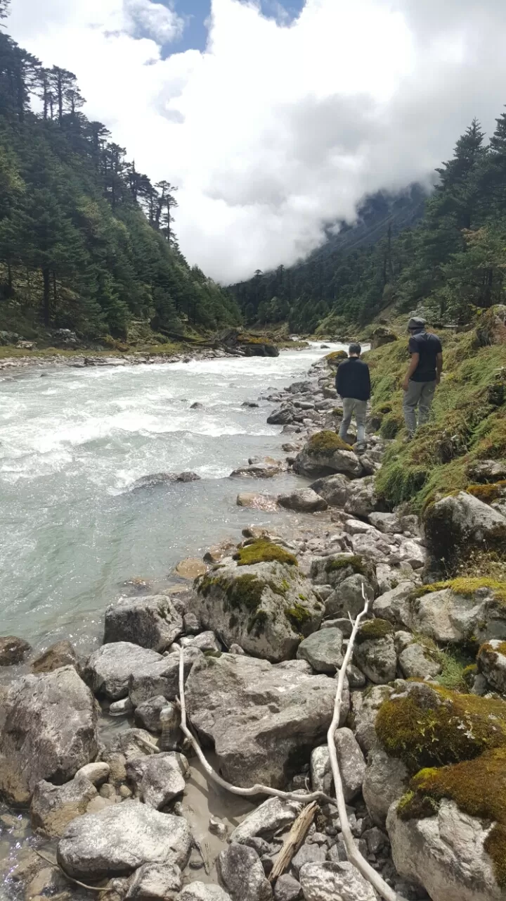 Photo of Yumthang, Sikkim 737120, India by Mohamed Rizwan