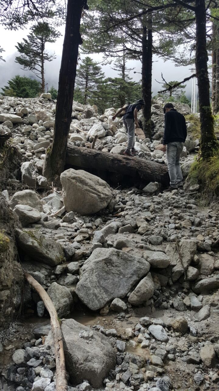 Photo of Yumthang, Sikkim 737120, India by Mohamed Rizwan