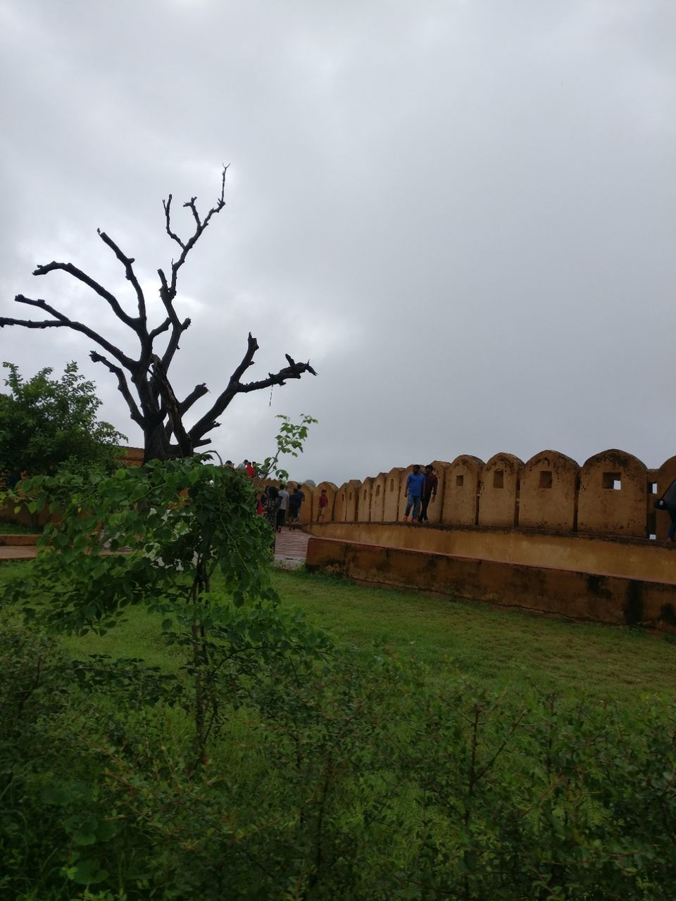Photo of My long awaited trip to pink city by Satya Bhattacharya