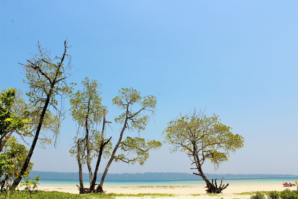 Photo of Andamans - a must see destination 5/10 by Sajesh J