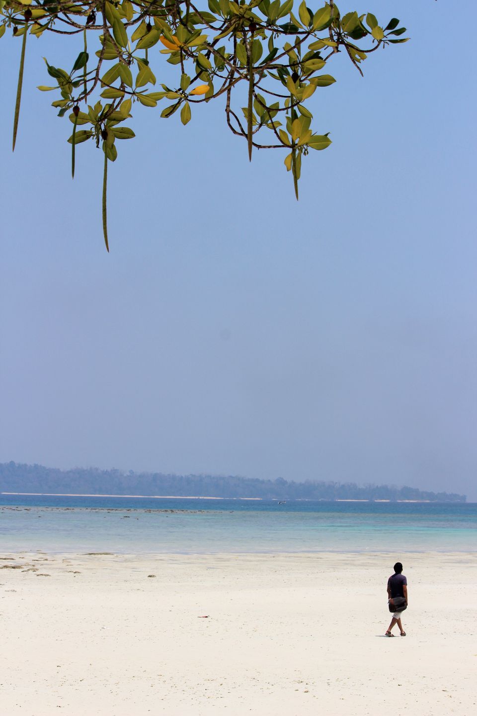 Photo of Andamans - a must see destination 6/10 by Sajesh J