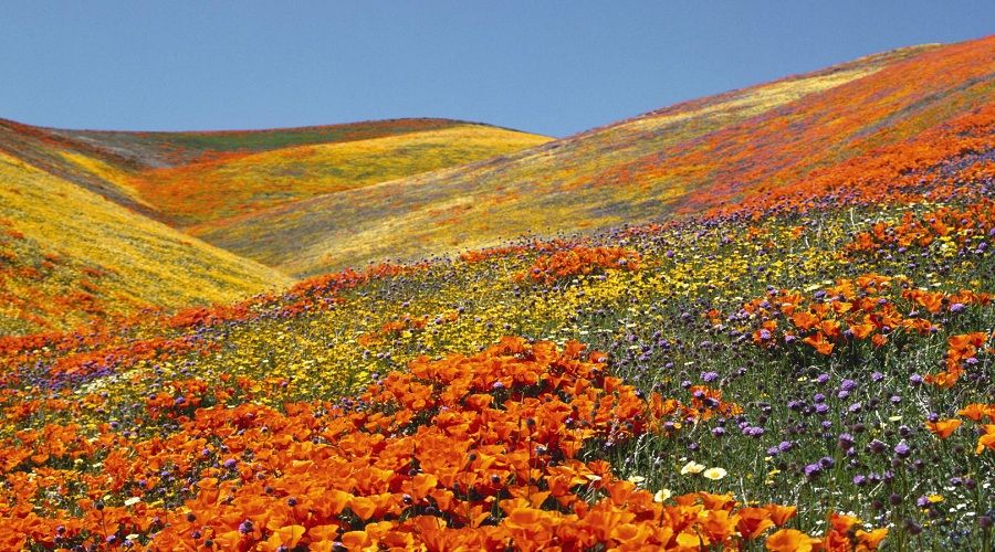 Photo of 10 PLACES IN INDIA THAT WILL MAKE YOU FALL IN LOVE WITH PHOTOGRAPHY! 10/10 by isha chopra