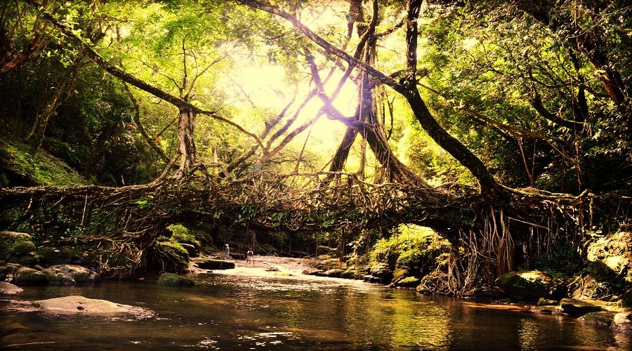 Photo of 10 PLACES IN INDIA THAT WILL MAKE YOU FALL IN LOVE WITH PHOTOGRAPHY! 8/10 by isha chopra