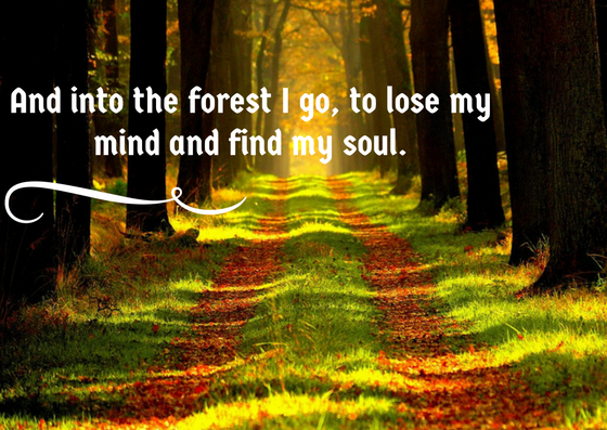 Photo of 10 MOTIVATING TRAVEL QUOTES THAT MAKE SURE YOU TOOK THE RIGHT PATH 2/10 by isha chopra