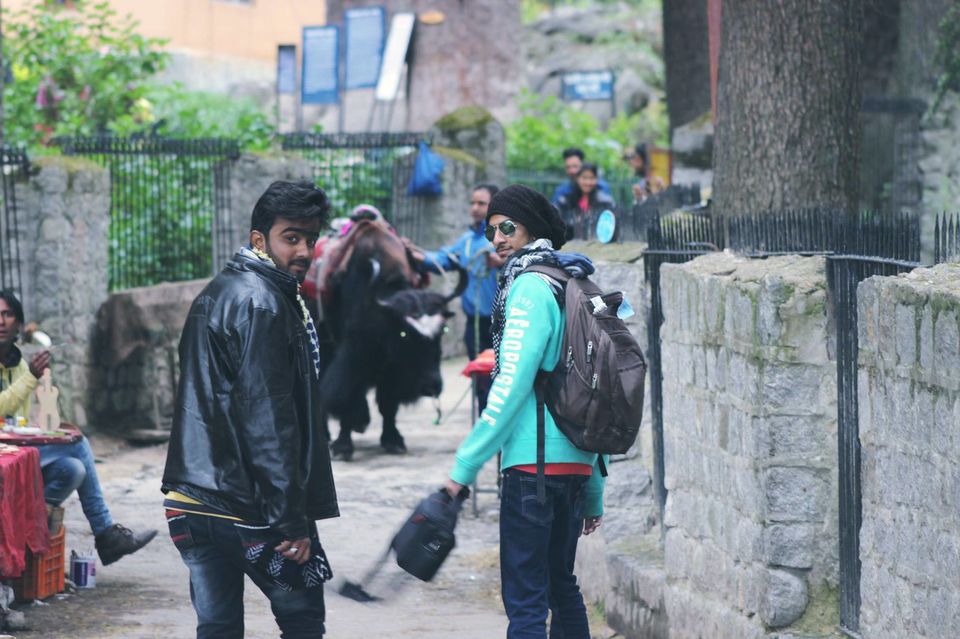 Photo of Roadtrip to North India 18/23 by Ali Lal Ahmed