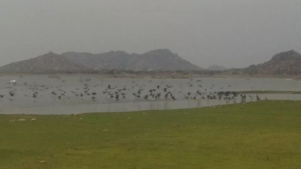Photo of Koilsagar Project and Reservoir, Mahabubnagar, Telangana, India by Abhishek Singhania