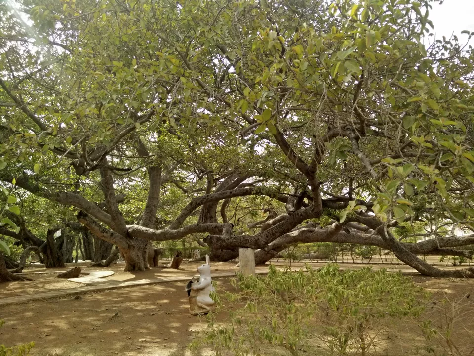 Photo of Mahabubnagar, Telangana, India by Abhishek Singhania