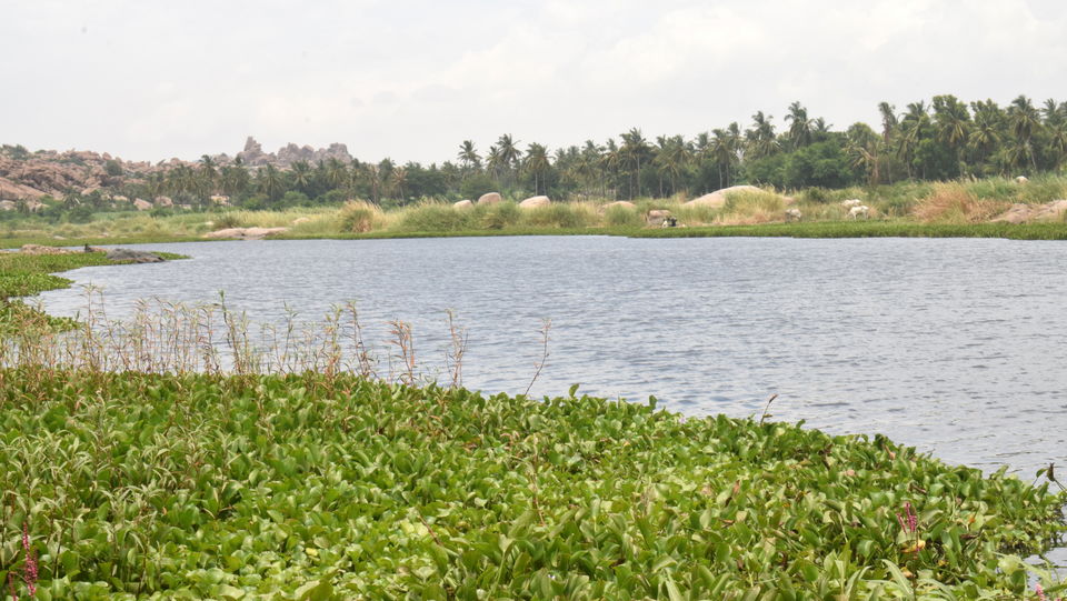 Photo of Hippie Island @ Hampi - for gypsy souls 2/24 by Abhishek Singhania