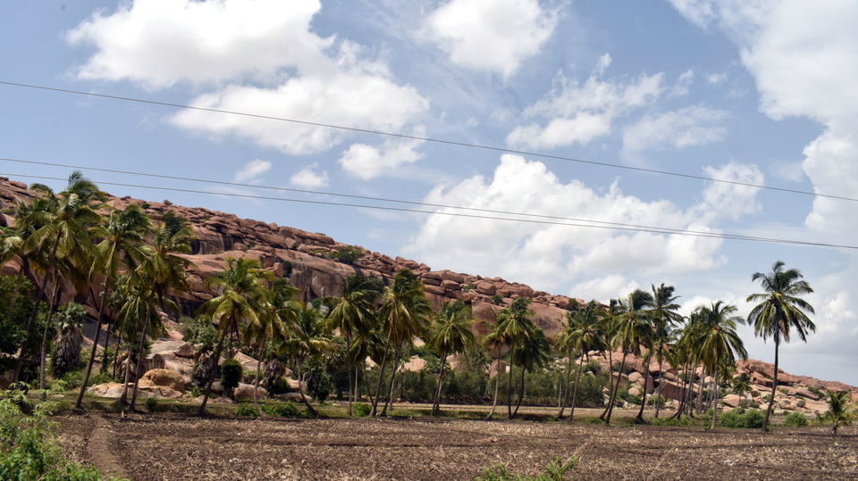 Photo of Hippie Island @ Hampi - for gypsy souls 8/24 by Abhishek Singhania