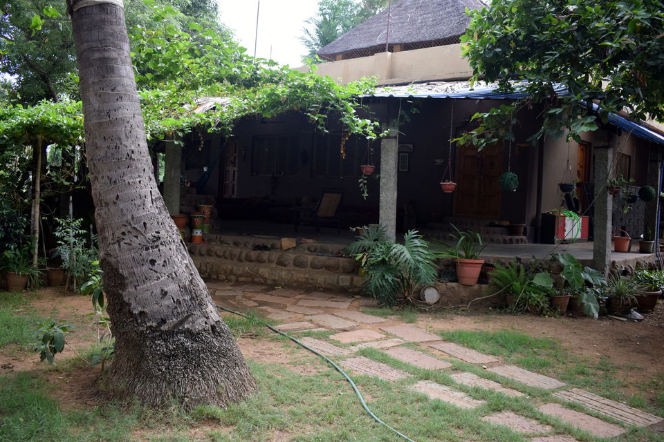 Photo of Hippie Island @ Hampi - for gypsy souls 19/24 by Abhishek Singhania