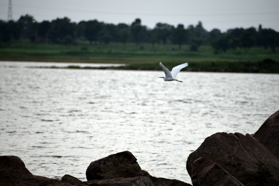 Photo of A day in Medak & Pocharam Lake 22/32 by Abhishek Singhania