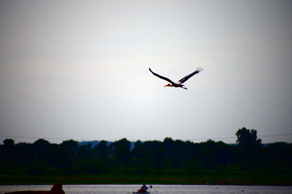 Photo of A day in Medak & Pocharam Lake 26/32 by Abhishek Singhania