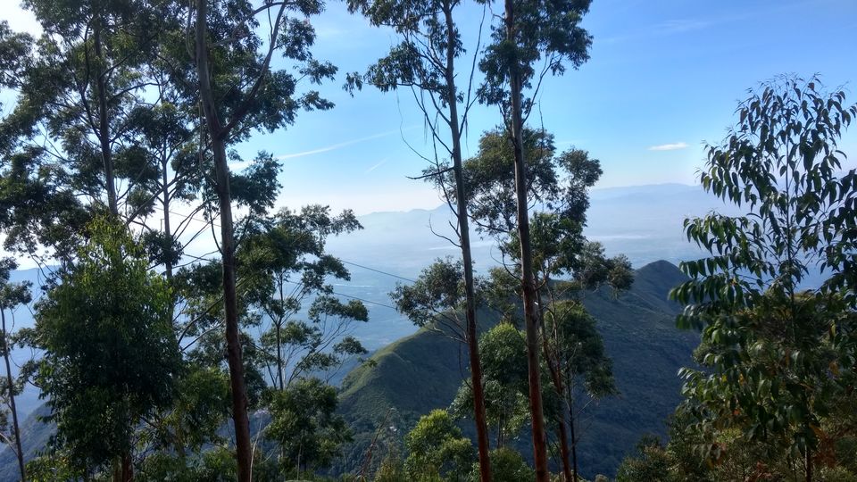 Photo of A tantalizing trek in Vattakanal by Sneha Paul