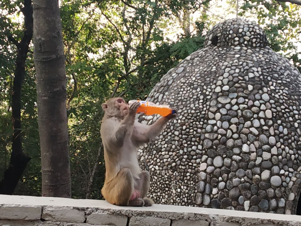 Photo of Ringing in the New Year at Rishikesh!- #offbeatuttarakhand by Deepshikha