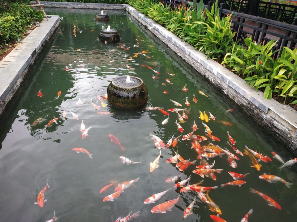 Photo of Da Nang, Vietnam by Deepshikha Nainani