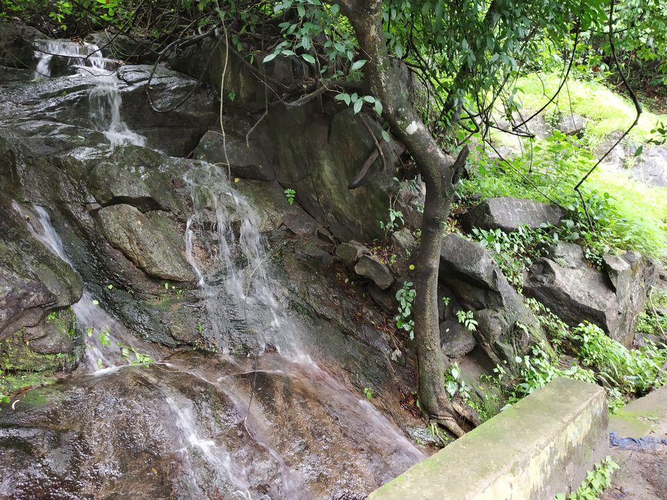 Photo of Lakkidi View Point, Lakkidi, Kerala, India by Deepaboli Roy