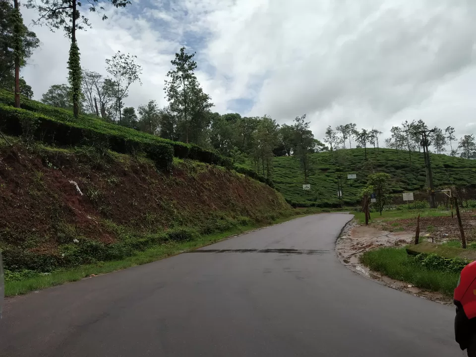 Photo of Tea Estate, Kalpetta Bypass Road, Gudalai, Kairali Nagar, Kalpetta, Wayanad, Kerala, India by Deepaboli Roy