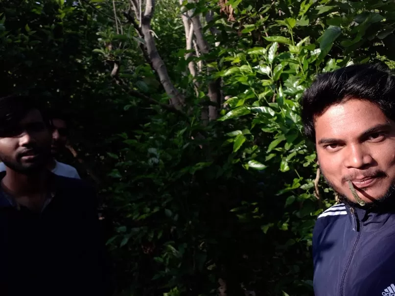 Photo of A must Camping and Rafting in Rishikesh | Adventure and Spirituality by roottraveller
