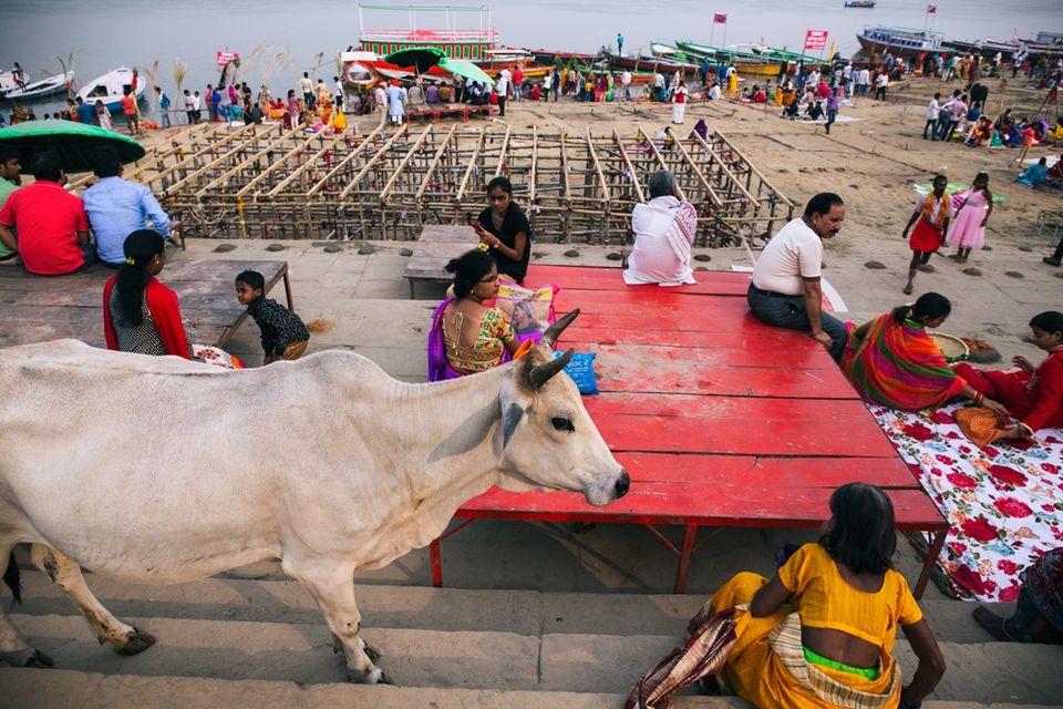 Photo of Banaras through the eye of a Banarasi | The crazy side by roottraveller