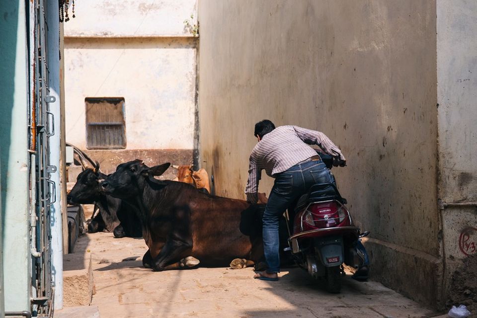 Photo of Banaras through the eye of a Banarasi | The crazy side by roottraveller