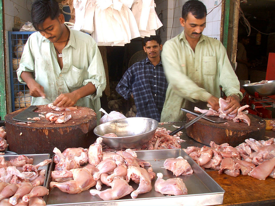 Photo of Banaras through the eye of a Banarasi | The crazy side by roottraveller