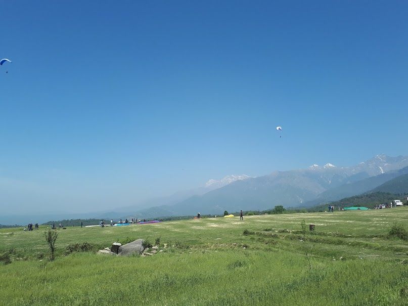 Photo of Paragliding In Bir Billing | All You Need To Know and Do by roottraveller