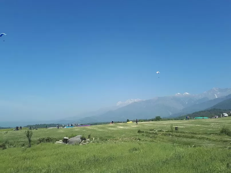 Photo of Paragliding In Bir Billing | All You Need To Know and Do by roottraveller