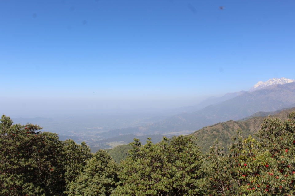 Photo of Paragliding In Bir Billing | All You Need To Know and Do by roottraveller