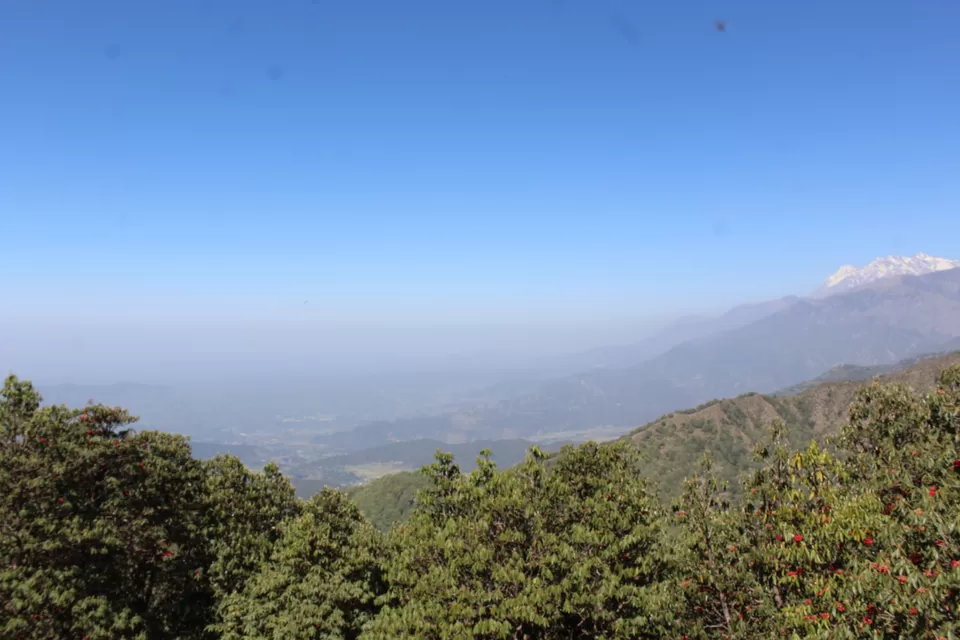 Photo of Paragliding In Bir Billing | All You Need To Know and Do by roottraveller