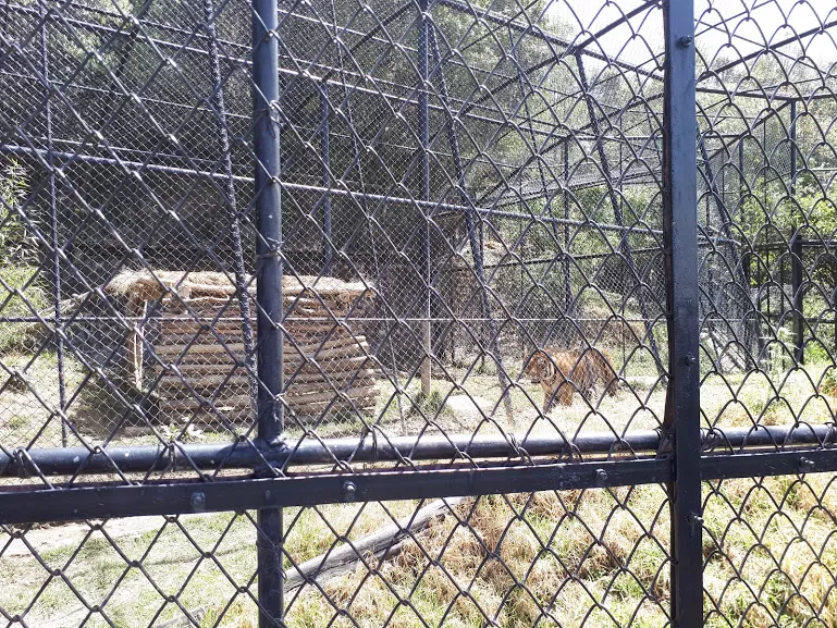 Photo of Zoo Road, Mallital, Nainital, Uttarakhand, India by roottraveller