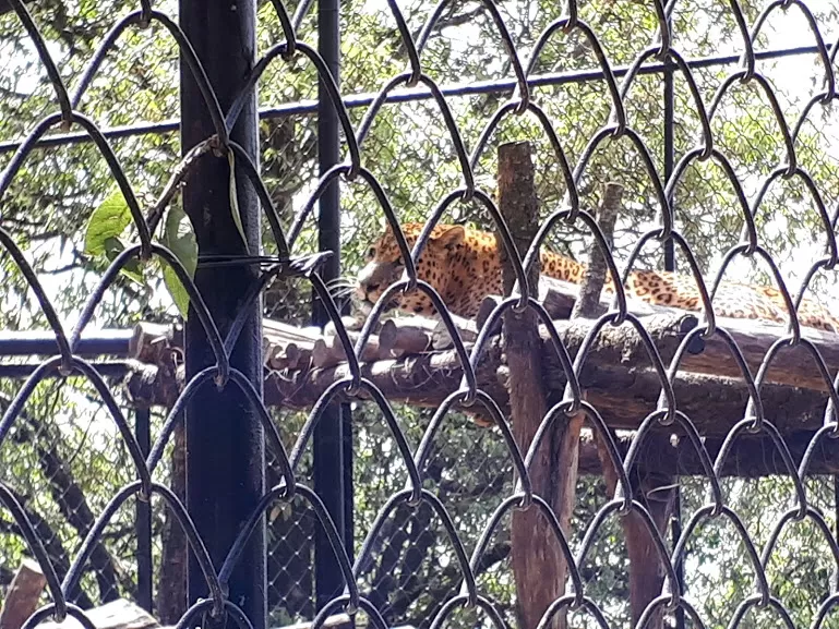 Photo of Zoo Road, Mallital, Nainital, Uttarakhand, India by roottraveller