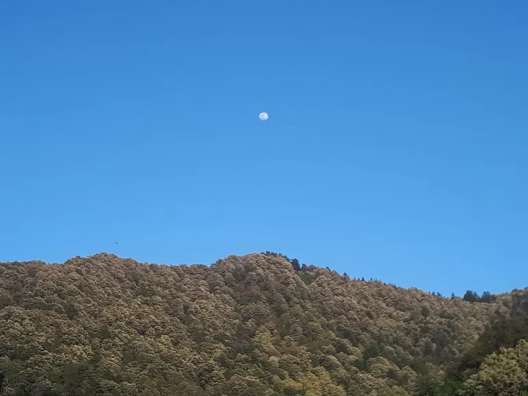 Photo of Pangot, Uttarakhand, India by roottraveller