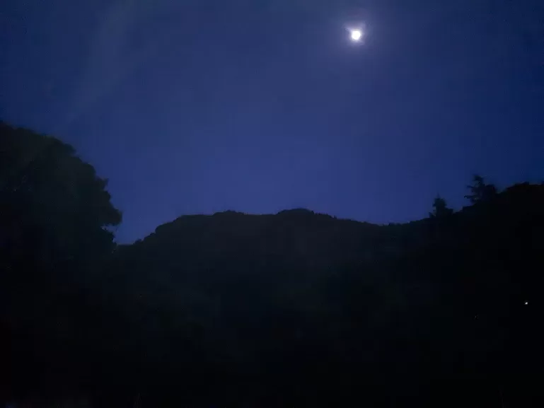 Photo of Pangot, Uttarakhand, India by roottraveller