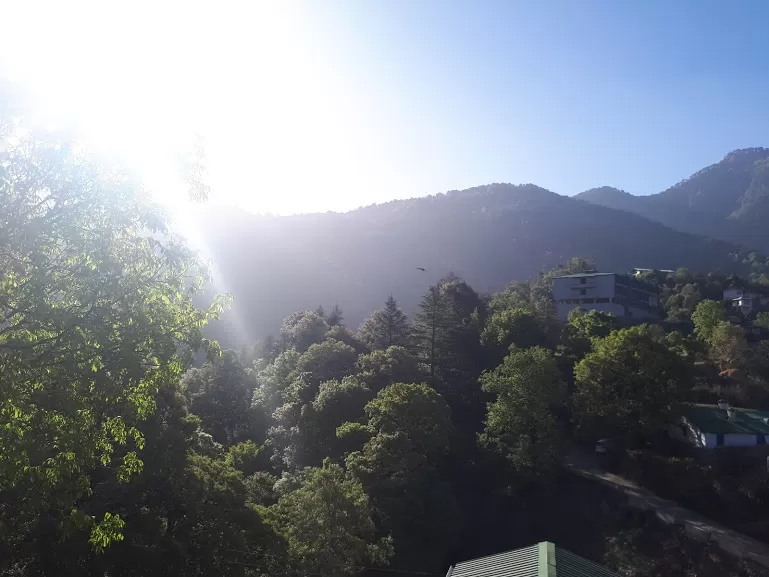 Photo of Pangot, Uttarakhand, India by roottraveller