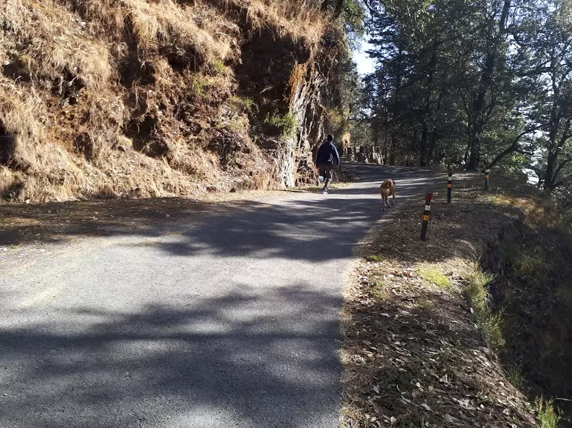 Photo of Pangot, Uttarakhand, India by roottraveller