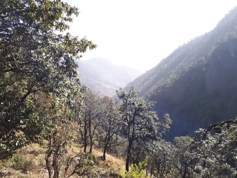 Photo of Pangot, Uttarakhand, India by roottraveller