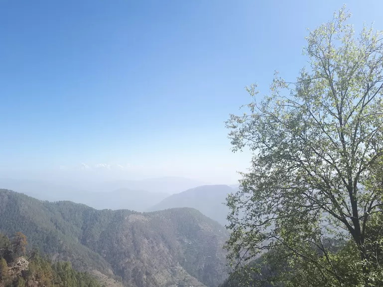 Photo of Pangot, Uttarakhand, India by roottraveller