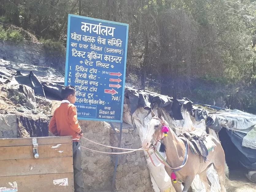 Photo of Tiffin Top, Ayarpatta, Nainital, Uttarakhand, India by roottraveller