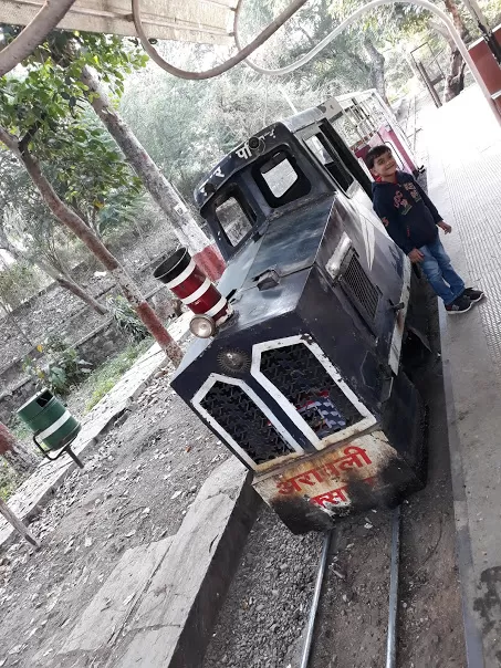 Photo of Gulab Bagh Road, Brahmpuri, Udaipur, Rajasthan, India by roottraveller