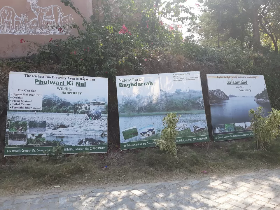 Photo of SajjanGarh Biological Park, Eklavya Colony, Udaipur, Rajasthan, India by roottraveller