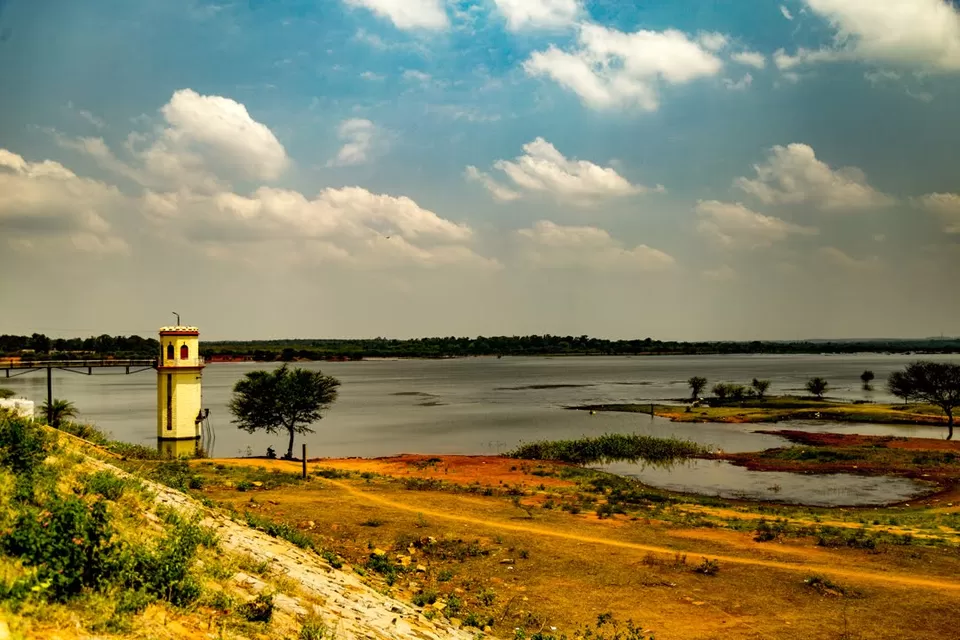 Photo of Day trip to Hesaraghatta lake and Grasslands | Bangalore by roottraveller